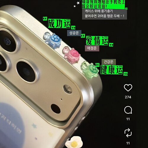 韩国超火！彩色幸运小乌龟