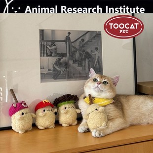 萌趣土豆猫玩具木天蓼可替换响声逗猫棒猫咪自嗨解闷磨牙猫用品
