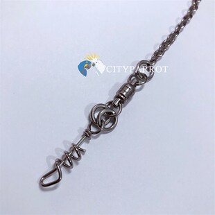 中小型鹦鹉不锈钢外出链站架链开脚环牡丹玄凤凯克鸟站架脚链