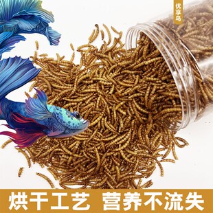 观赏鱼粮龟六角龙饲料无盐营养高蛋白面包虫冻干鸟仓鼠零食黄粉虫