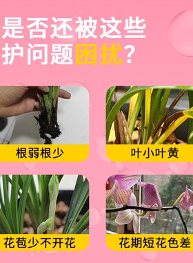 卡纳玛朵植物营养素兰花专用营养液促花爆箭养叶壮枝家用养花肥料
