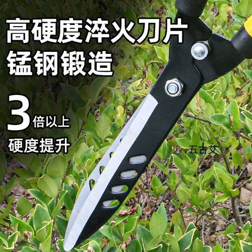 草坪专修剪林绿化修剪刀园林修枝剪苗圃修剪工具茶树花树茶叶树枝