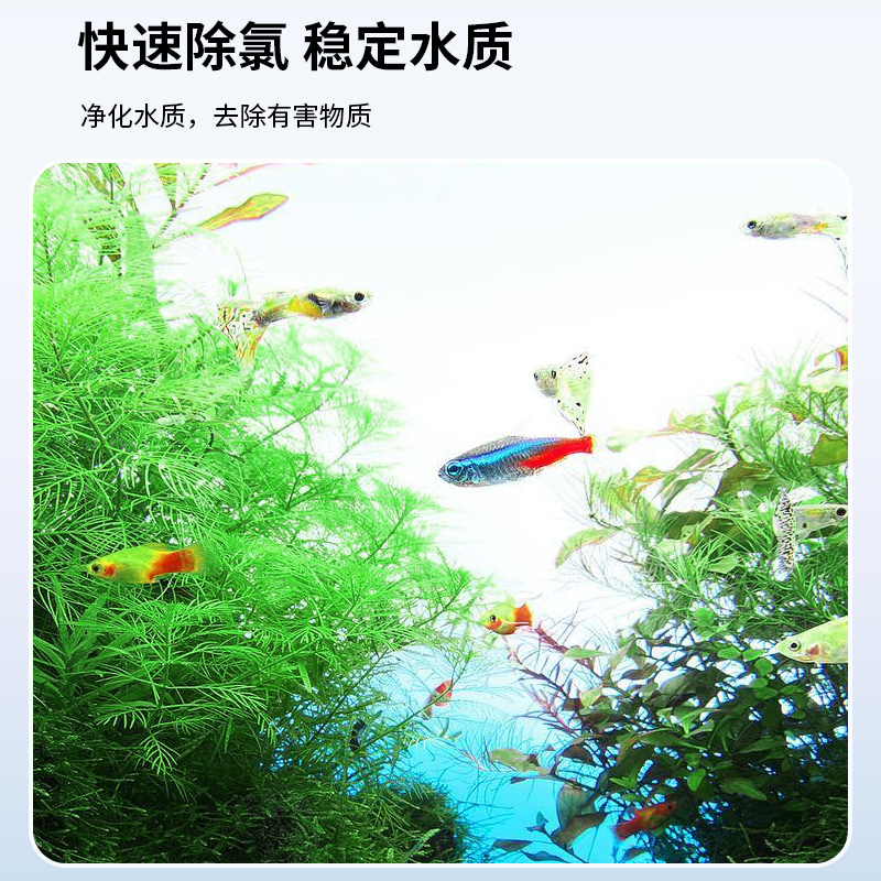 养鱼自来水除氯净水剂水质稳定剂鱼缸专用改善鱼缸水质观赏鱼养水