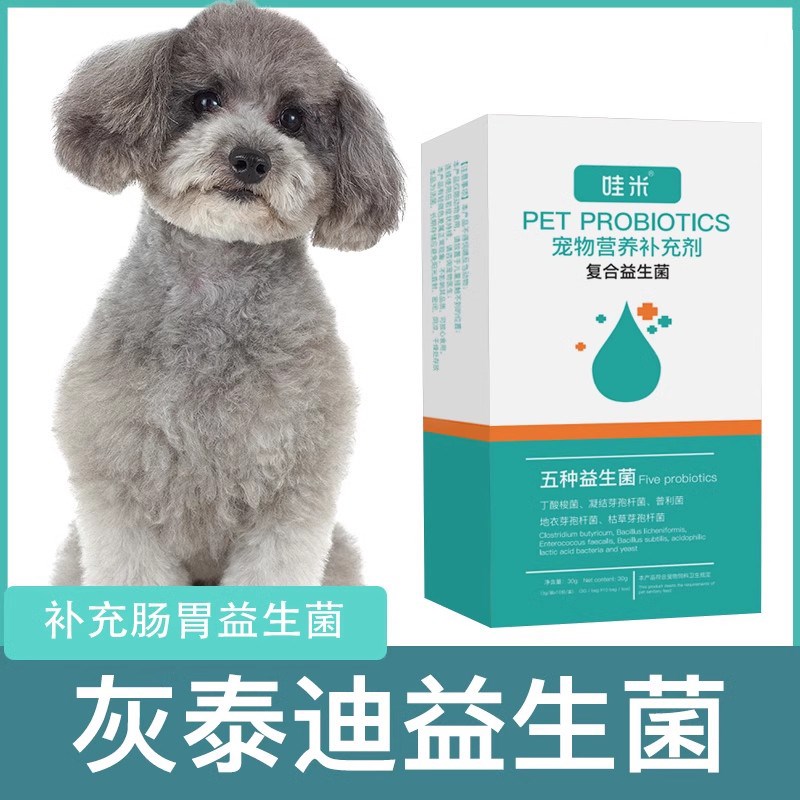 灰泰迪专用益生菌粉宠物犬用狗狗小幼犬成犬活性菌肠道消化宝