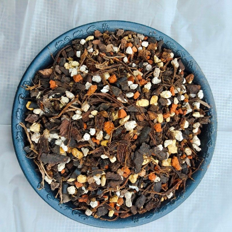 小颗粒兰花土兰花护茎土盖面土兰花专用土多肉君子兰蝴蝶兰营养土