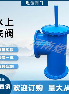 不锈钢耐腐蚀逆止阀单向阀安装简单法兰连接SSDF-1水上式底阀