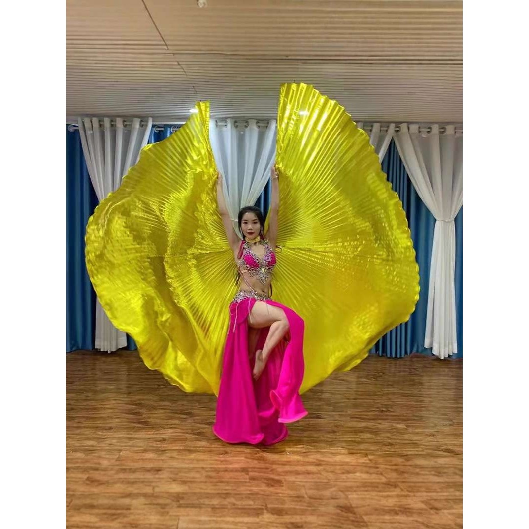 成人肚皮舞蹈的服装金翅舞蹈道具印度服装360度翅膀演出服装