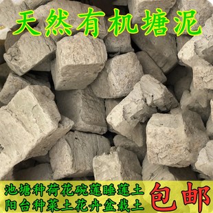 塘泥种植土碗莲睡莲营养土阳台种花种菜花土型通用包邮种植营养土