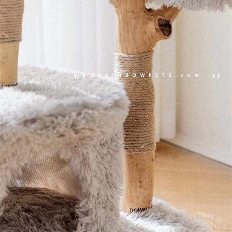 凯瑞暴暴虎实木藤编猫爬架猫窝猫树猫跳台猫玩具磨爪猫架子猫爬树,宠物/宠物食品及用品,猫爬架,淘宝优惠券,粉丝福利购,淘宝优惠卷