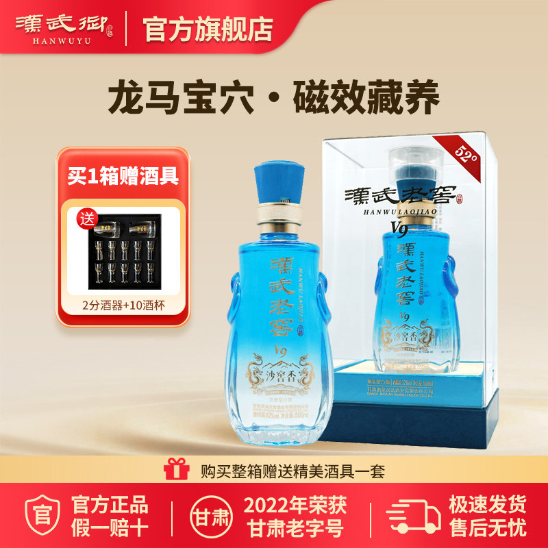 汉武御老窖V9 浓香型白酒500ml 甘肃酒泉纯粮酿造送礼官方旗舰店
