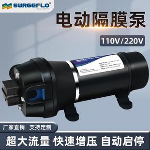 源头工厂FL 机隔膜泵 43大流量抽水增压泵110v220v交流电动灌装