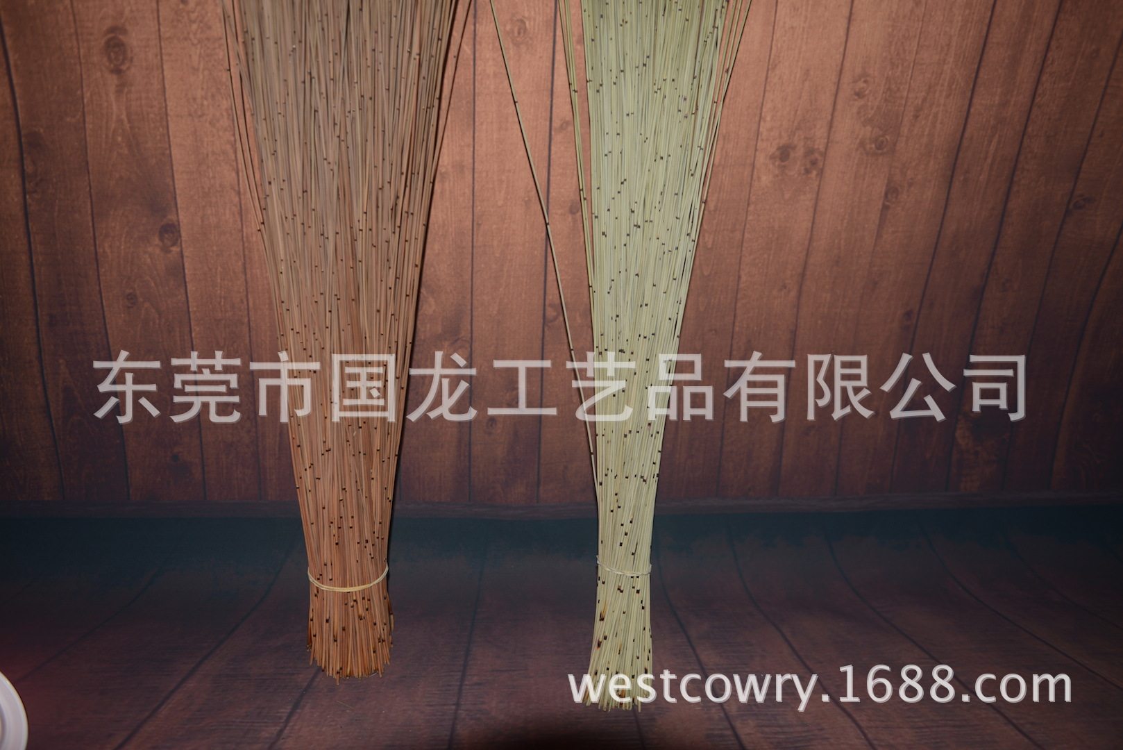 供应南非红绿迷你竹干花 富贵竹干花 亚克力压缩植物