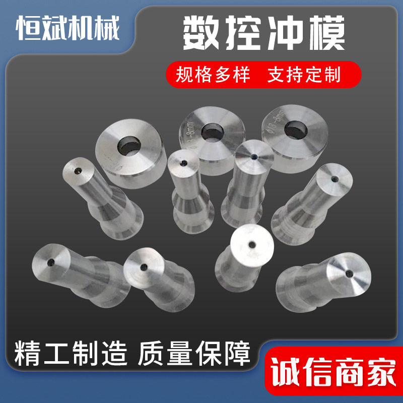 数控冲模 厂家供应数控冲孔模具不锈钢管冲孔模成型模