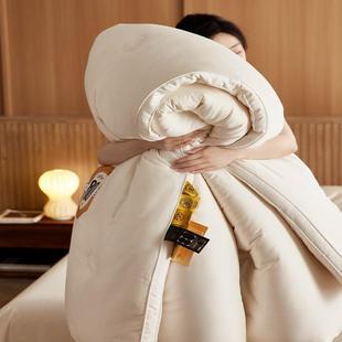 高端100S长绒棉80%李官奇大豆纤维填充春秋冬被双胎子母被四季被