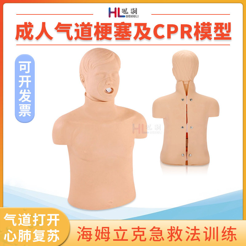 成人气道梗塞及CPR模型急救训练模型 成人气道阻塞训练模型