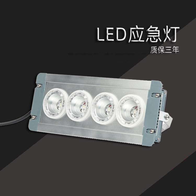 ZL8846-E 配电房应急低顶灯LED固态免维护事故应急照明灯GMD9124A