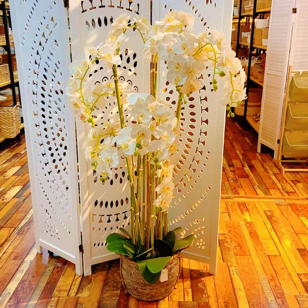 厂直销植物盆栽花艺仿真手感蝴蝶兰盆景软装家居桌台花摆件