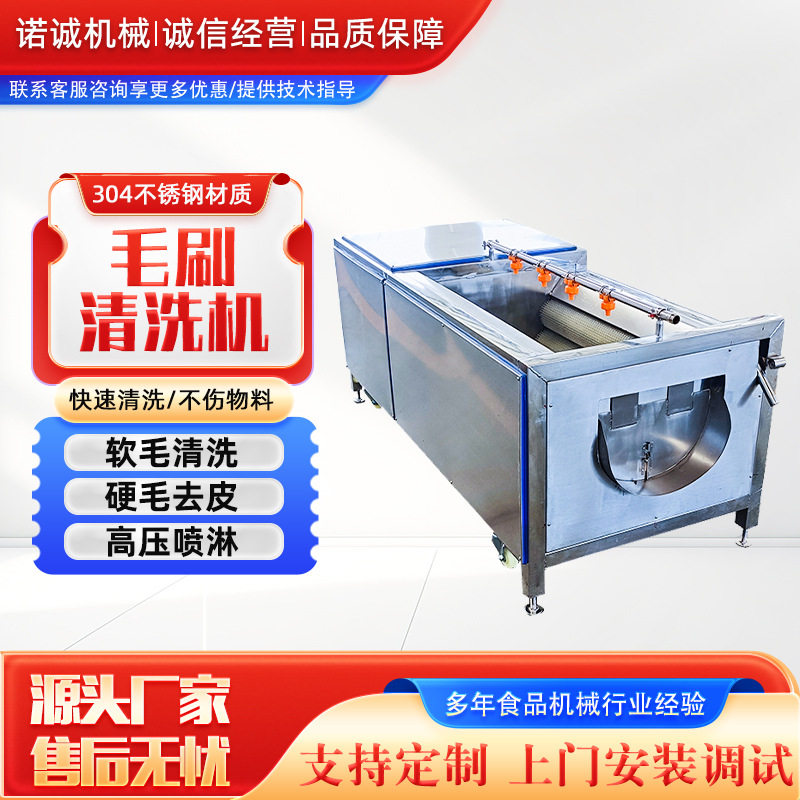 生姜毛辊清洗机 海蛎子扇贝全自动去泥清洗机 辣疙瘩毛刷清洗设备