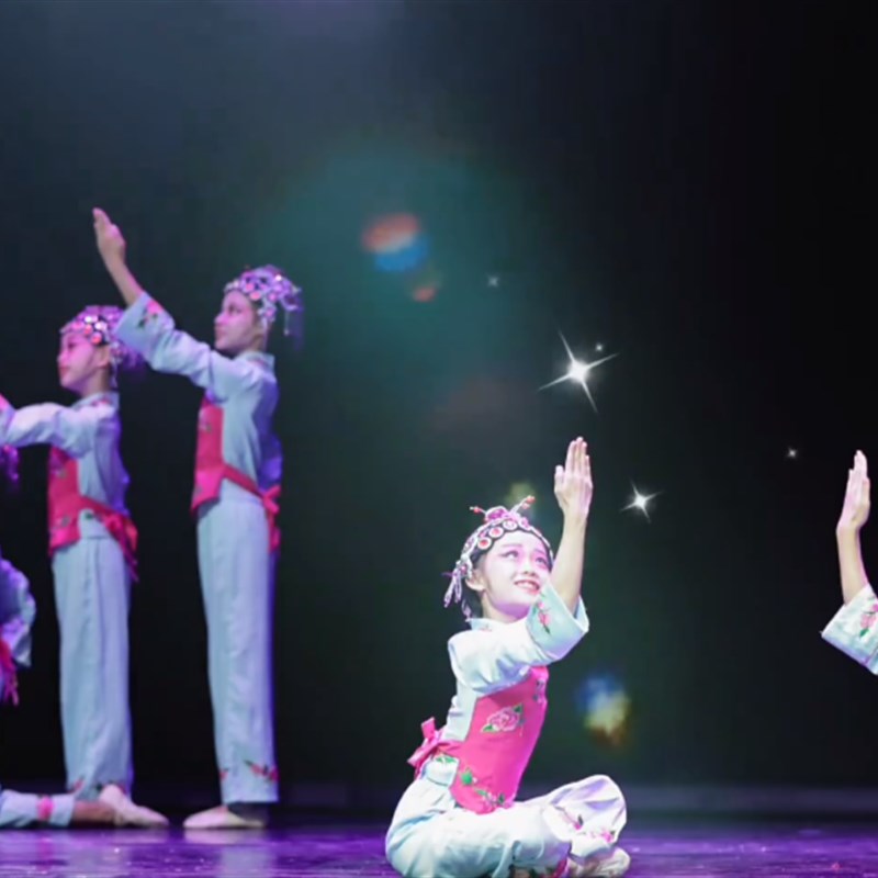 儿童戏曲少年梨园梦舞蹈演出服小俏花旦水袖京剧小戏骨戏服表演服