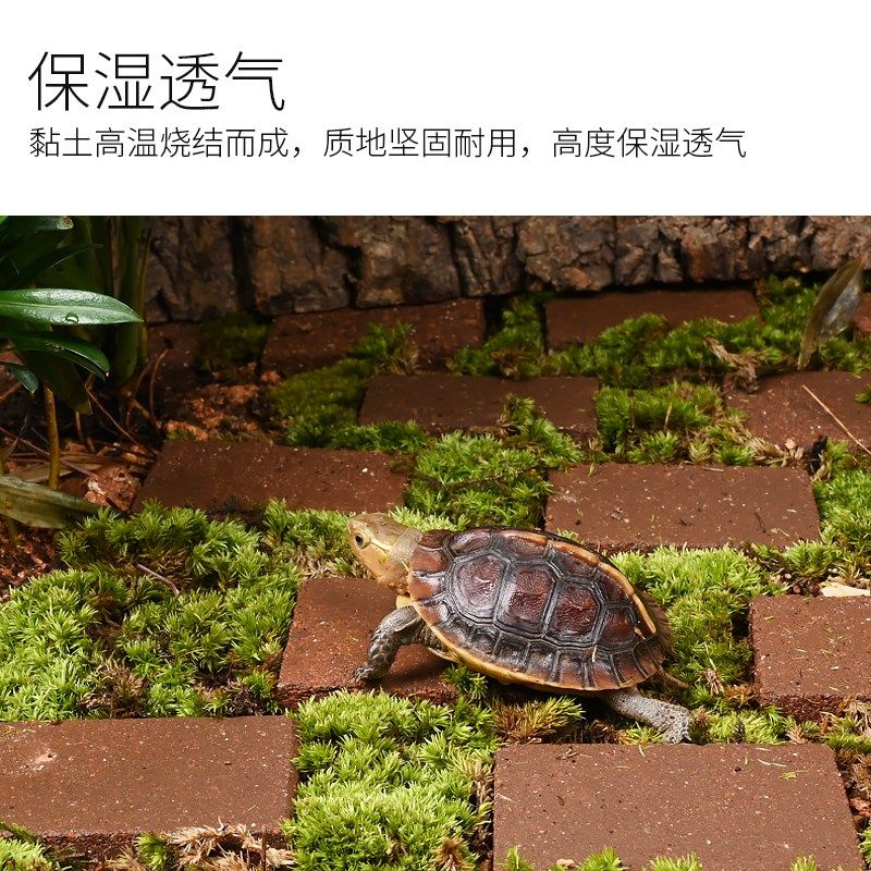 黄缘龟专用生态造景粗陶砖半水龟饲养箱环境装饰垫材吸水保湿小砖,宠物/宠物食品及用品,爬宠躲避/造景,淘宝优惠券,粉丝福利购,淘宝优惠卷