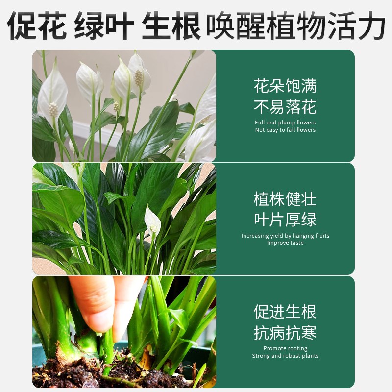 一帆风顺营养液盆栽水培白掌专用肥料复合喷施植物白鹤芋火鹤花肥
