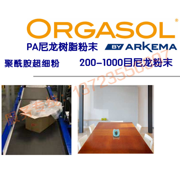 油漆涂料添加用PA12尼龙超细粉高纯度PA12聚酰胺微粉2001UDNAT1