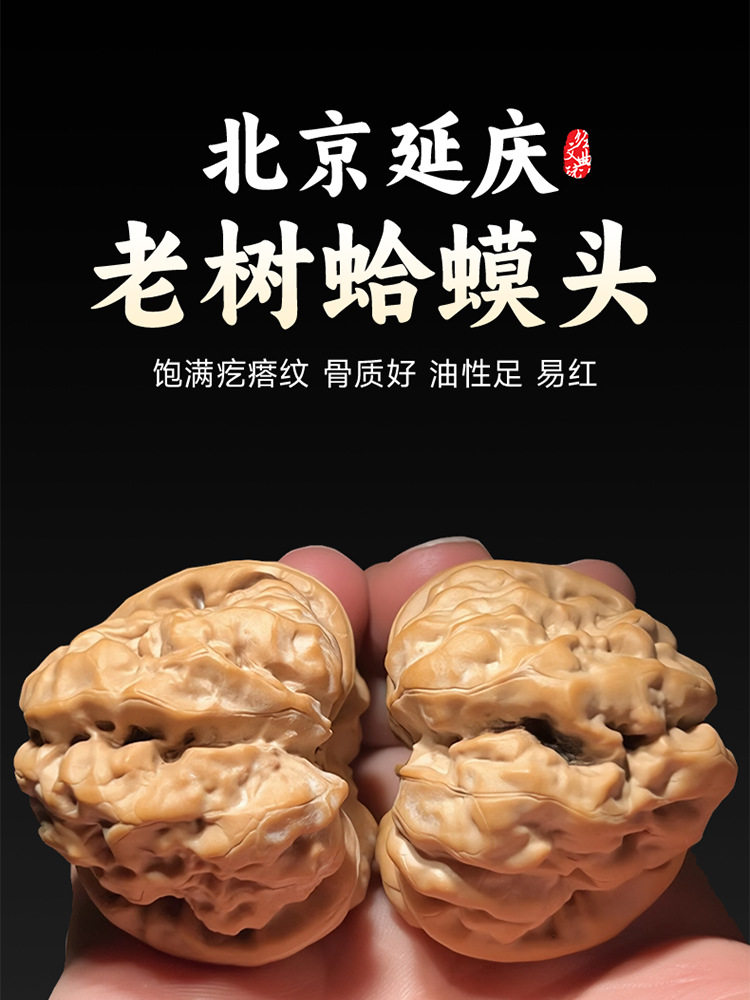 一代老树延庆蛤蟆头文玩核桃金蟾狮子头闷尖有腿有眼开背呱呱收藏