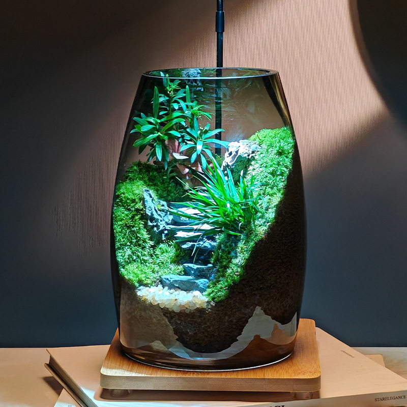 成功之路景观瓶生命之树创意苔藓微摆件办公室桌面缸绿植造景盆景
