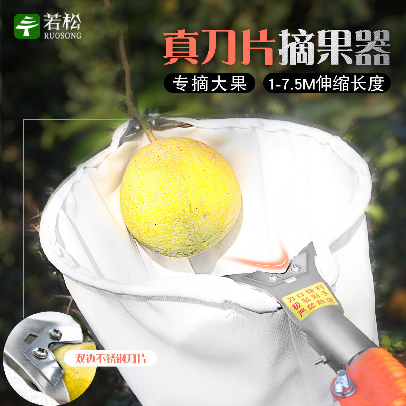 伸缩摘果器高空采摘神器