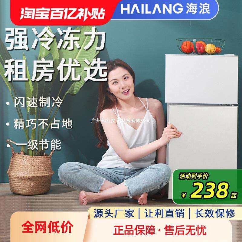 小冰箱小型家用宿舍出租房迷你双开门电冰箱能效节能冷冻冷藏