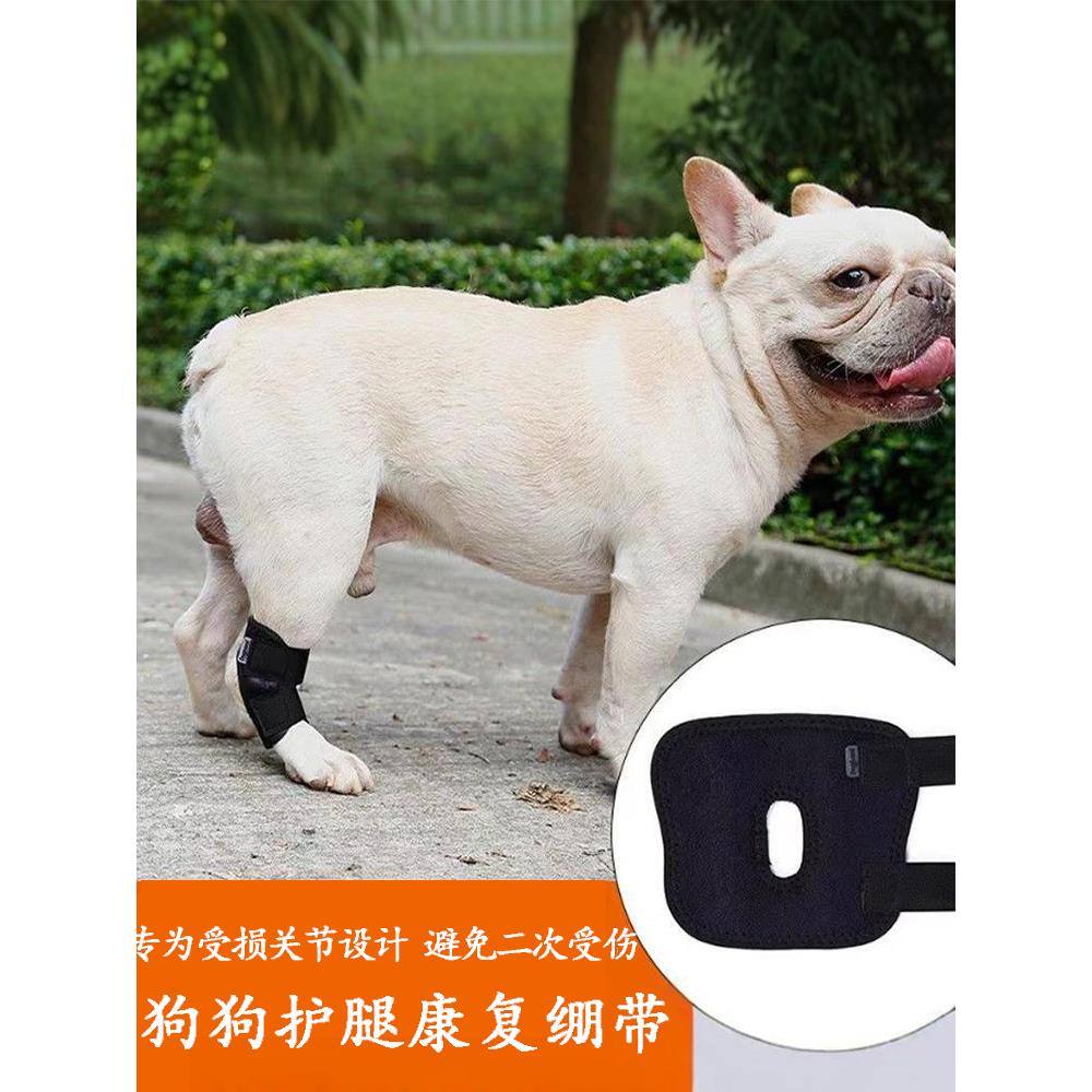 小型犬护腿套狗狗关节护膝宠物腿部受伤固定防舔辅助带包裹支架