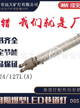 生产矿用巷道灯DGS24/127长条形24W127V长型隔爆型灯高亮节能