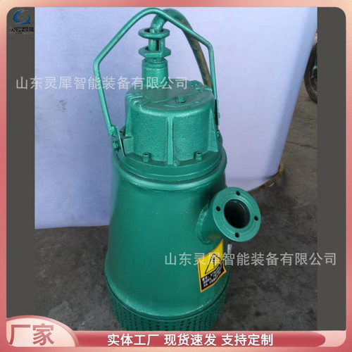 直发矿用隔爆型潜水排沙电泵 BQS80-30-18.5/N上出水潜水排沙泵