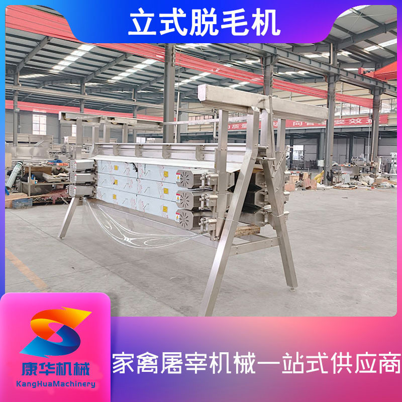 全自动立式家禽精脱毛机鸡鸭鹅