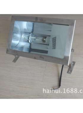 BAT53-L250不锈钢防爆泛光灯/不锈钢防爆防腐泛光灯400W250W
