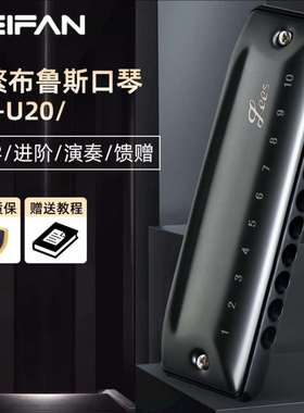FEIFAN飞繁十孔c调圆孔布鲁斯口琴U20paddy蓝调学生演奏蓝调口琴