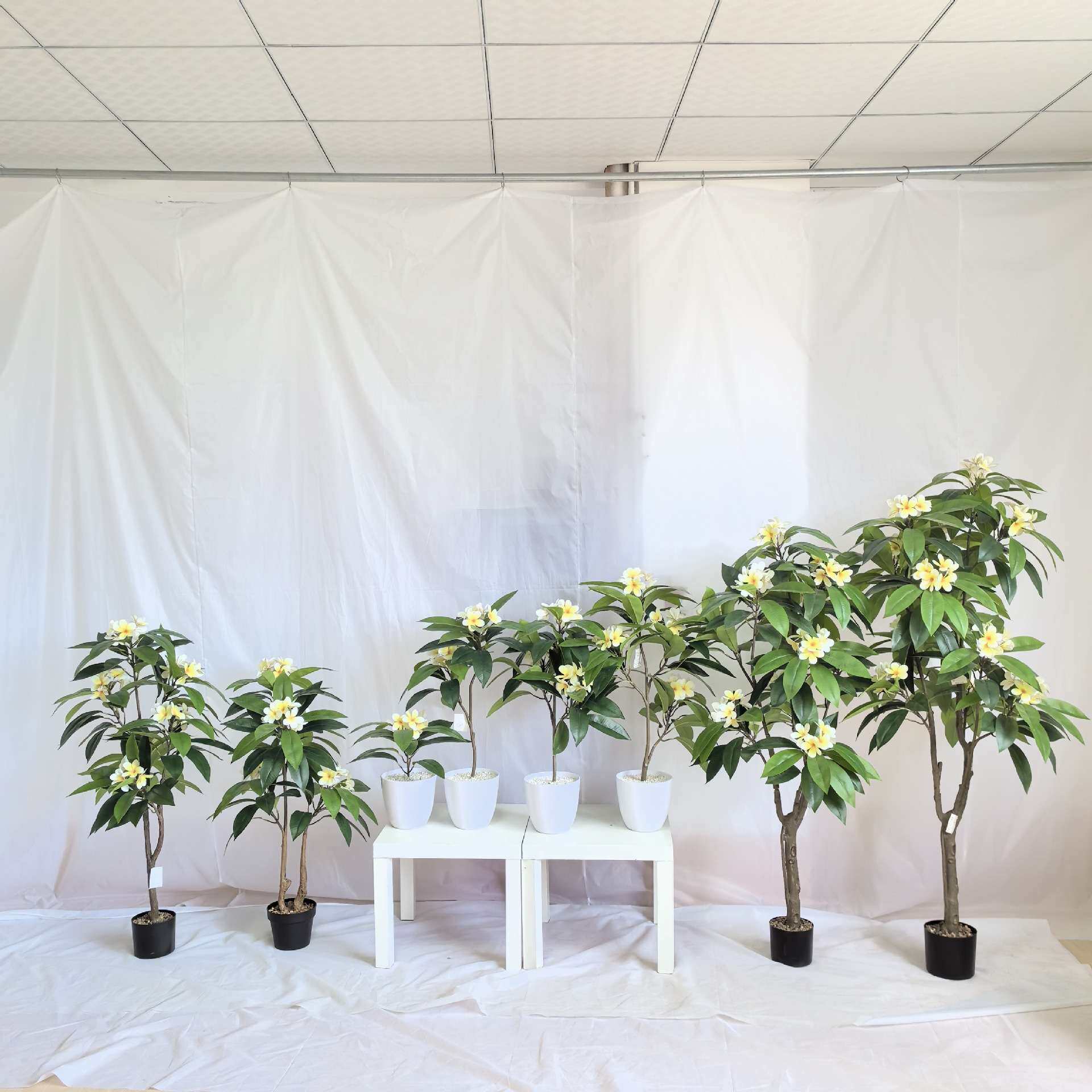 仿真鸡蛋花手感胶布鸡蛋叶绿色假树叶园林室内外造景装饰鸡蛋花树