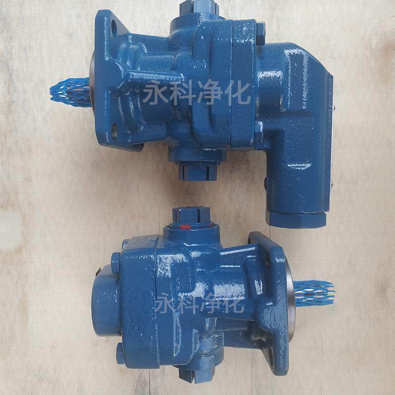 齿轮油泵KF2.5RF1-D25循环泵