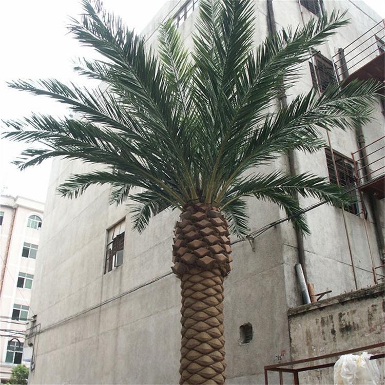 仿真植物厂家直销 人造海藻树 海枣树大量批发 室内海藻树