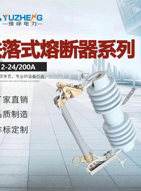 跌落式熔断器RW12-24/200A100A24KV高压跌落式熔断带保险丝