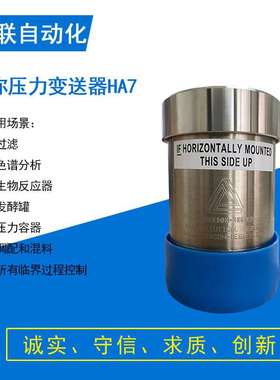 安德森耐格 andeson-negele 紧凑型迷你压力变送器 HA7497B004013