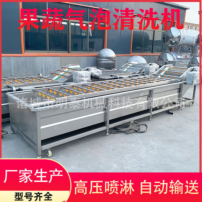 黑水虻蛋白虫清洗设备菠菜油菜全自动洗菜机海鲜肉制品挂冰机器