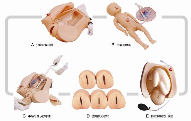 高级腹部触诊/分娩机转综合模型