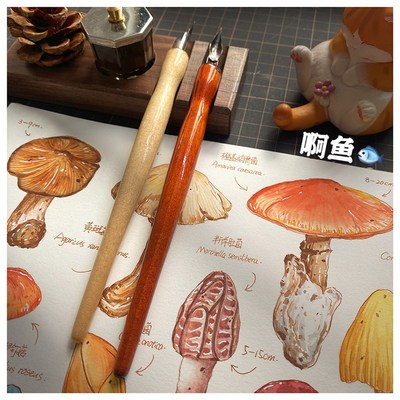 百科全书水彩线稿本涂色纸宝虹300g棉浆钢笔淡彩填色纸新手线稿