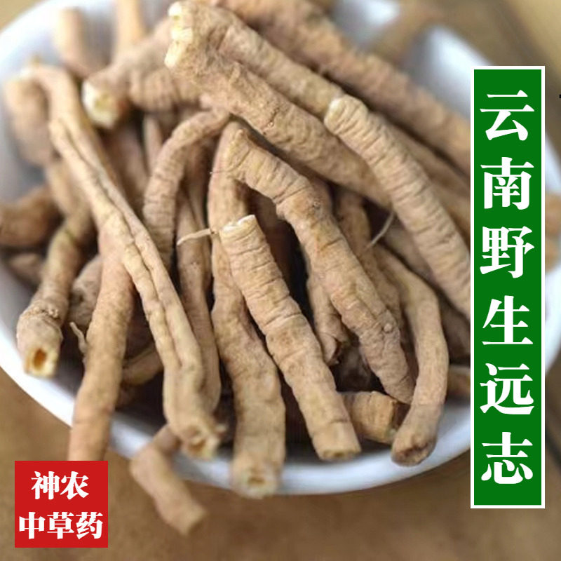 云南野生材远志500g精选特级无硫抽芯远志肉50%抽芯率中草药