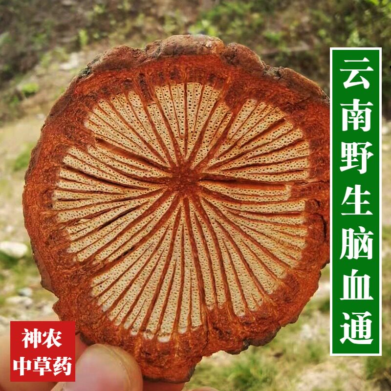 云南脑血通材血通片1斤特级老树大血藤血塞通泡酒红藤片