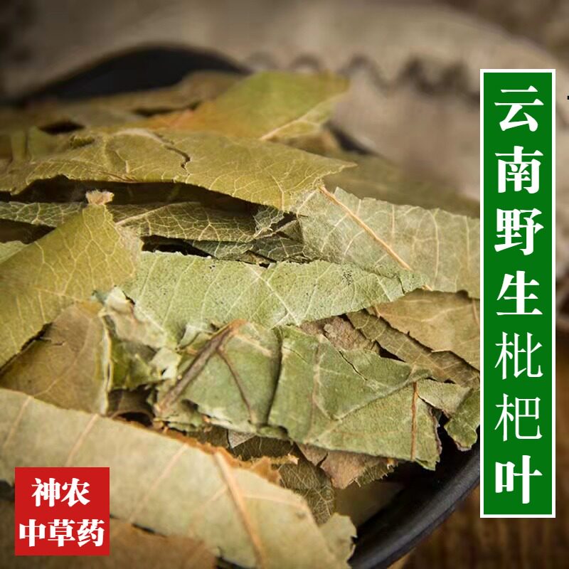 云南野生材枇杷叶500g真天然无硫熏精选一级泡水喝养身茶