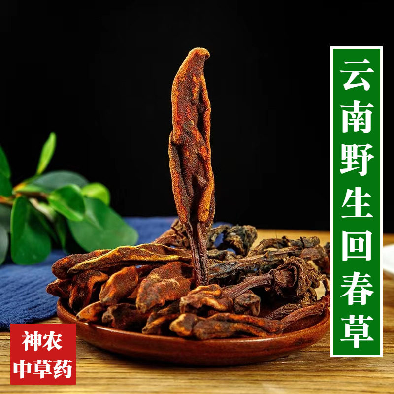 云南材野生回春草500g特级顶天柱草苁蓉不老草男性滋补泡酒料