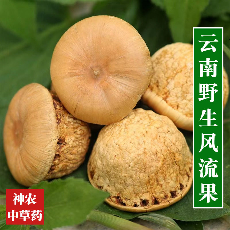 云南野生材风流果500g精选特级无硫龟头子保证天竺粒