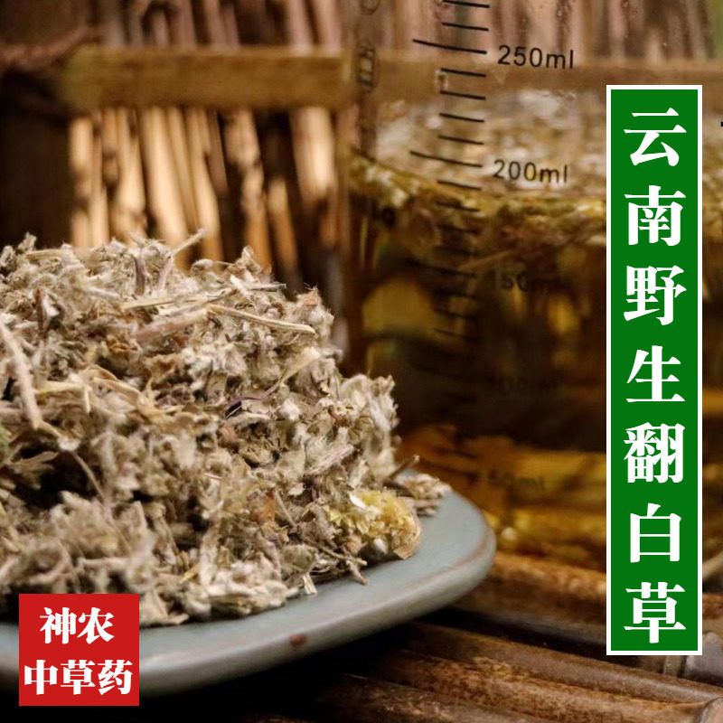 云南野生翻白草材500g精选特级无硫鸡腿根鸡爪参中草药无添加
